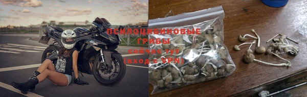 PSILOCYBIN Богданович