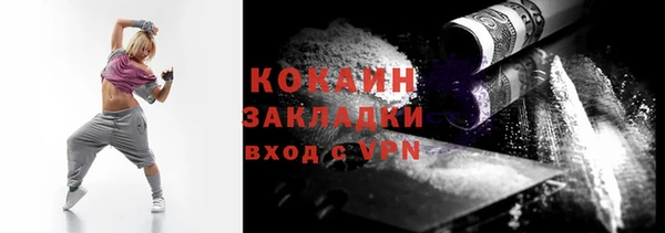 мдпв Богородск