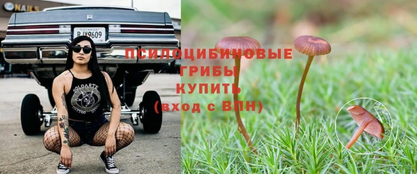 гидропоника Аркадак