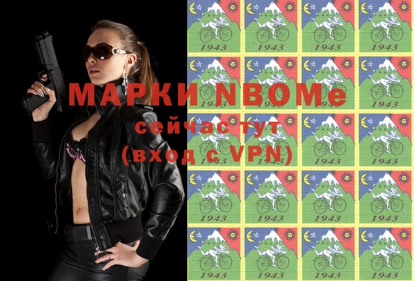 мдпв Богородск