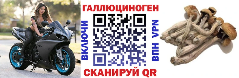 Псилоцибиновые грибы мицелий  Зима 